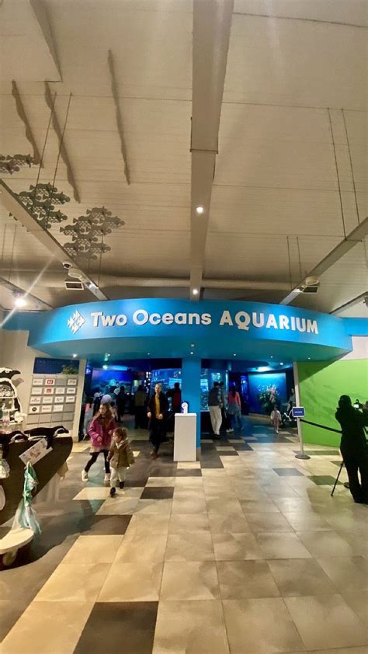 Two Oceans Aquarium: A Gateway to the Wonders of South Africa's Marine Life