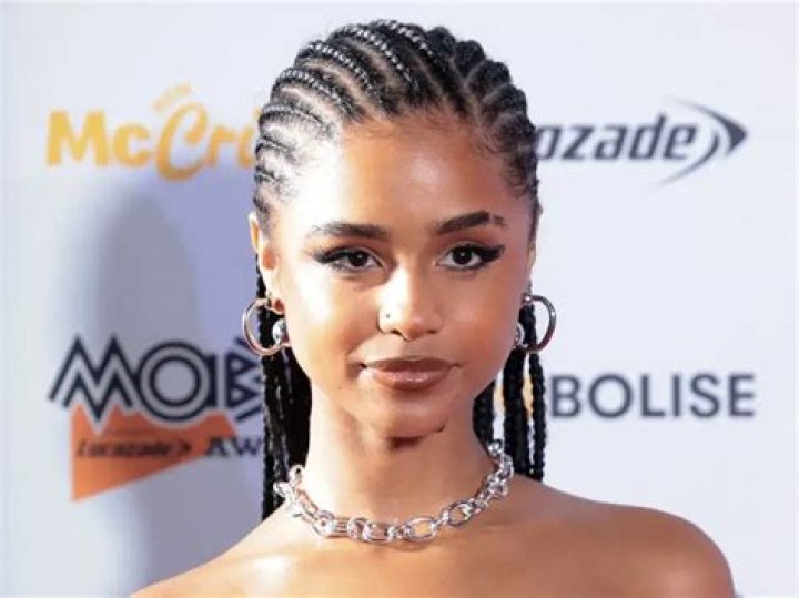 Tyla Ethnicity: Exploring the Roots and Cultural Identity