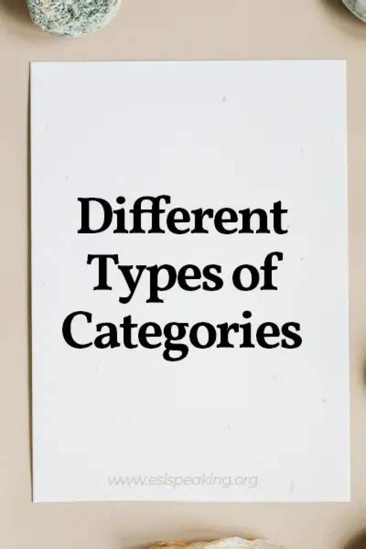 Exploring the Diverse Types of Categories: A Comprehensive Guide