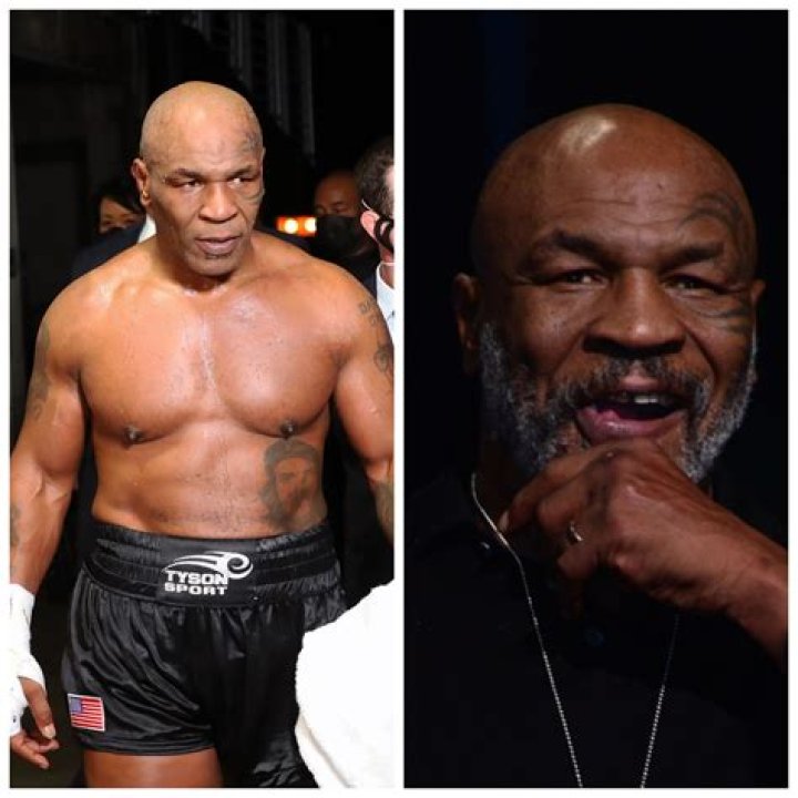 Tyson Bit: A Comprehensive Guide to Understanding Its Significance
