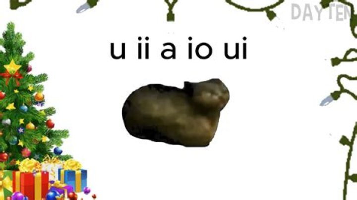 Understanding the Phenomenon of 