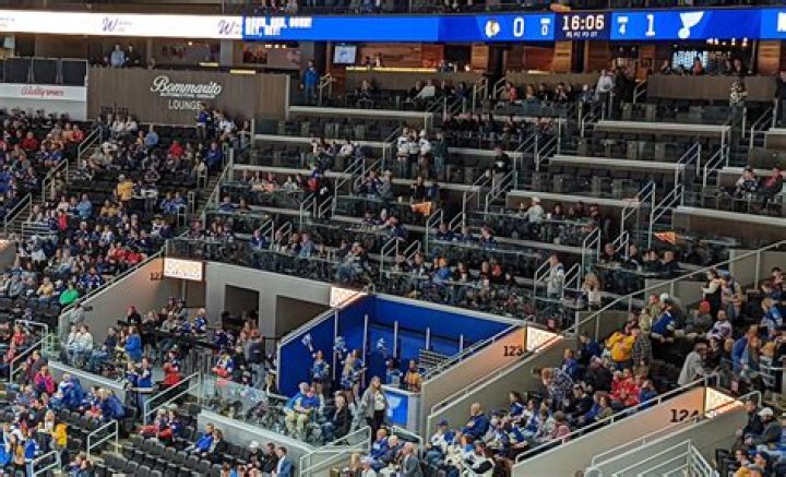 Ultimate Guide to UFC Ain't Louis Tickets: How to Secure Your Seat