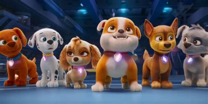 Unleashing the Mystery: What Breed Are the Paw Patrol?