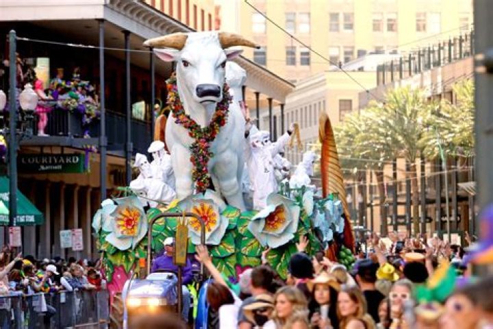 Unveiling the Meaning of Mardi Gras: A Celebration of Culture, History, and Tradition
