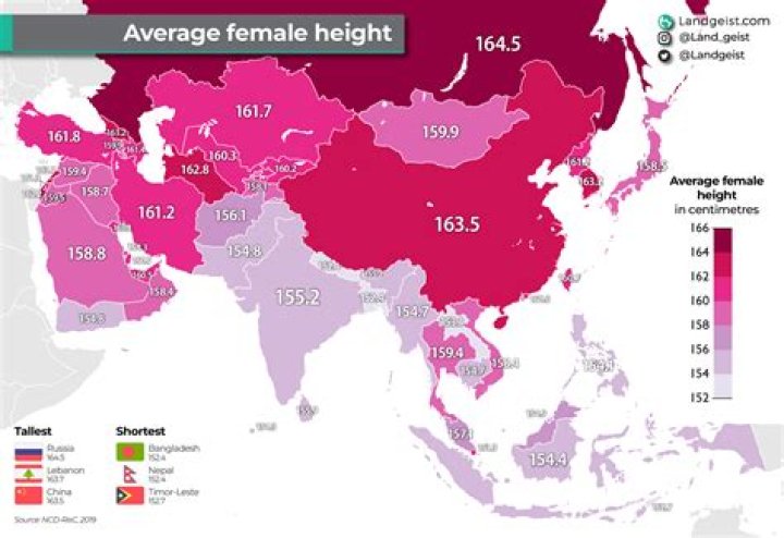Average Female Height in the United States: Comprehensive Insights