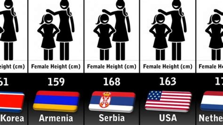Average Height of Women in the United States: A Comprehensive Guide