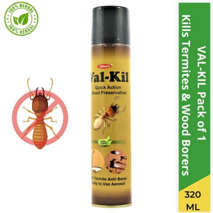 Val Kilmer Health: A Comprehensive Look at His Journey, Challenges, and Triumphs