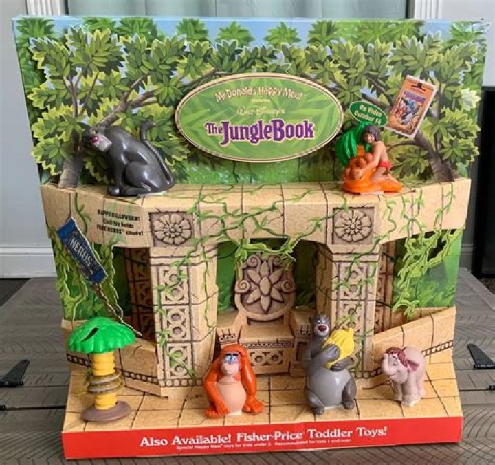 Valenciacooter's Jungle: Discovering the Thrilling World of Adventure and Exploration