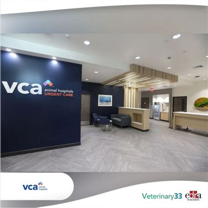 VCA Los Angeles CA: Comprehensive Veterinary Care for Your Beloved Pets