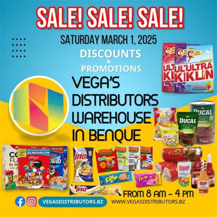 Vega Distributors: Revolutionizing the Supply Chain Industry