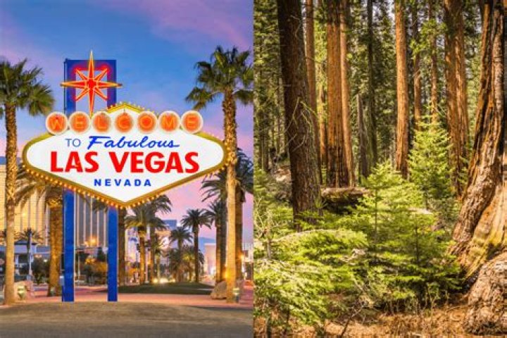 Vegas.to: Your Ultimate Guide to the World's Most Iconic Entertainment Hub