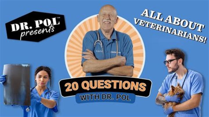 Veterinarian POL: Your Trusted Companion for Animal Health and Wellness