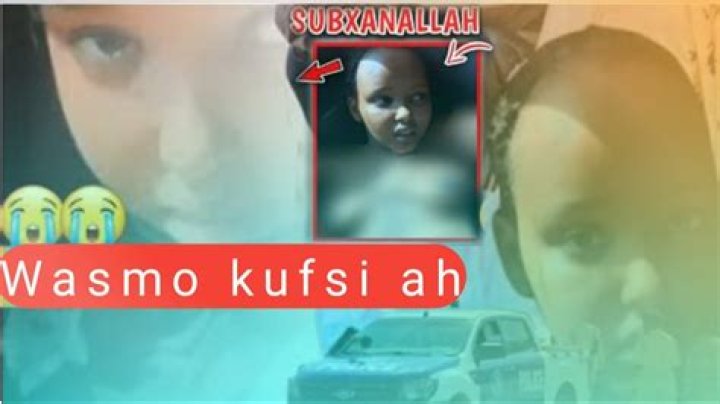 Discover the Phenomenon: Why Video Wasmo is Taking the World by Storm