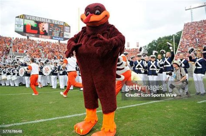 Virginia Tech Mascot: Exploring the Hokie Bird's Rich History and Significance