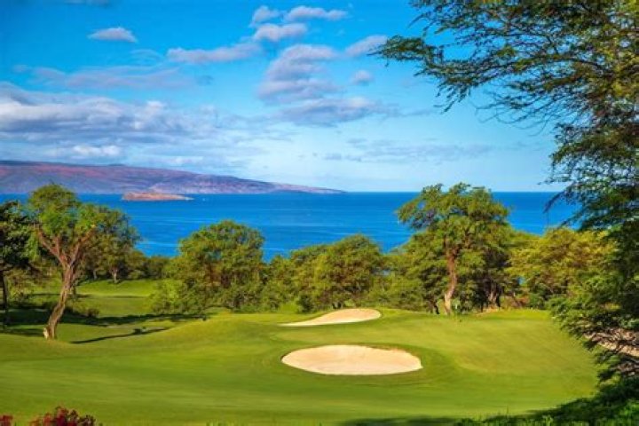 Unveiling the Allure of Wailea Golf Courses: A Golfer's Paradise
