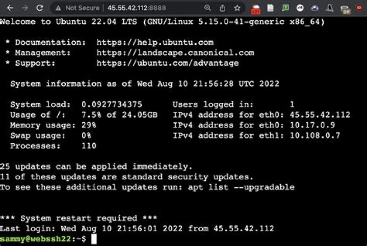 Unlocking the Power of WebSSH: A Comprehensive Guide to Secure Remote Access
