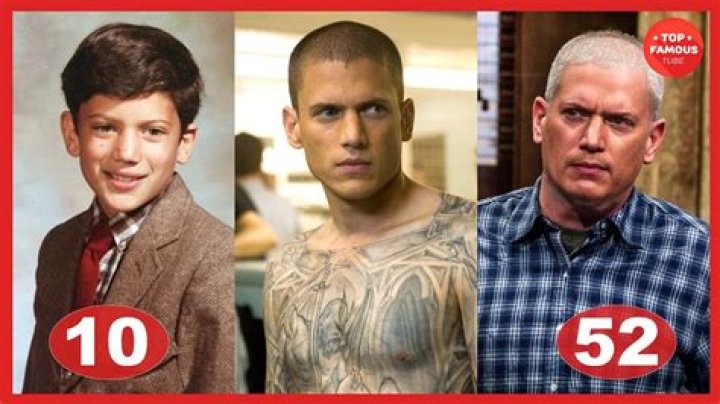 Wentworth Miller: A Journey Through Success, Challenges, and Philanthropy