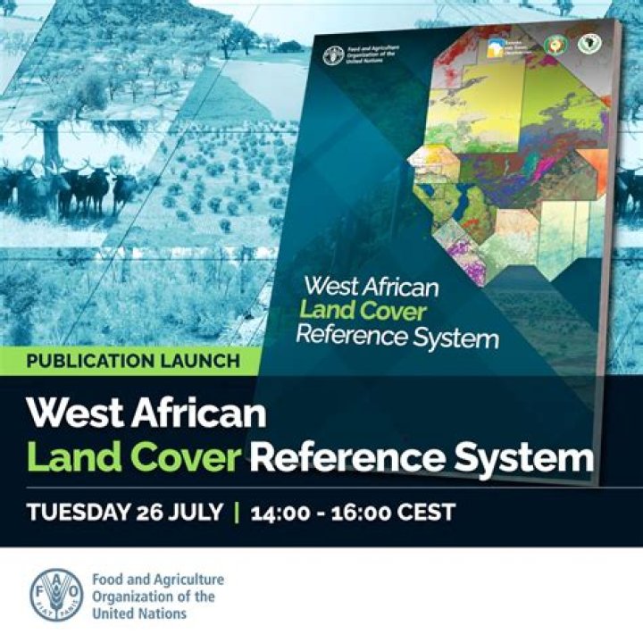 Exploring the Vibrant Culture and Rich Heritage of West African Communities