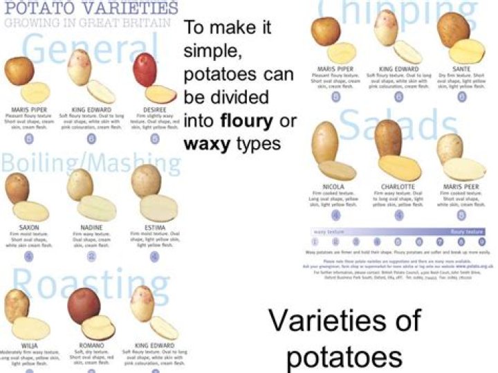 What Are Waxy Potatoes: A Comprehensive Guide to Understanding Waxy Potatoes and Their Uses