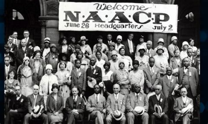 What is a NAACP: A Comprehensive Guide to Understanding the Nation's Oldest Civil Rights Organization