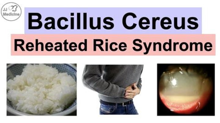 What is Reheated Rice Syndrome: Understanding the Risks and Prevention