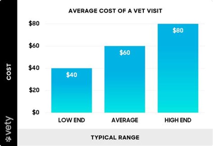 Average Vet Tech Salary: A Comprehensive Guide for Aspiring Veterinary Technicians