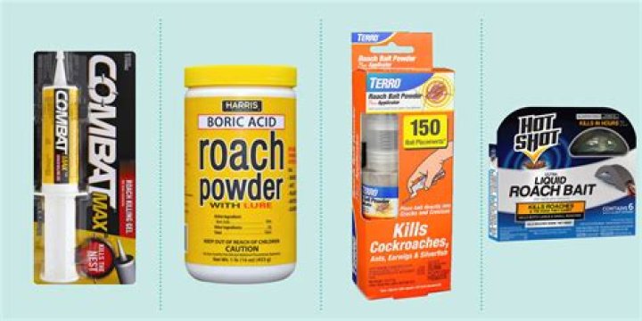 What is the Best Roach Killer on the Market? Discover the Ultimate Solutions