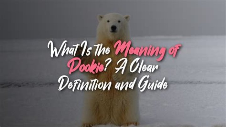 What is the Definition of a Pookie? The Ultimate Guide to Understanding Pookies