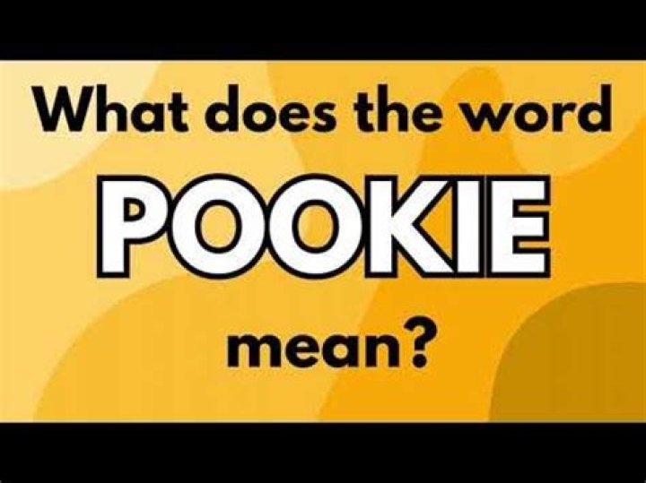 What is the Definition of Pookie? A Comprehensive Guide to Understanding Its Meaning and Usage