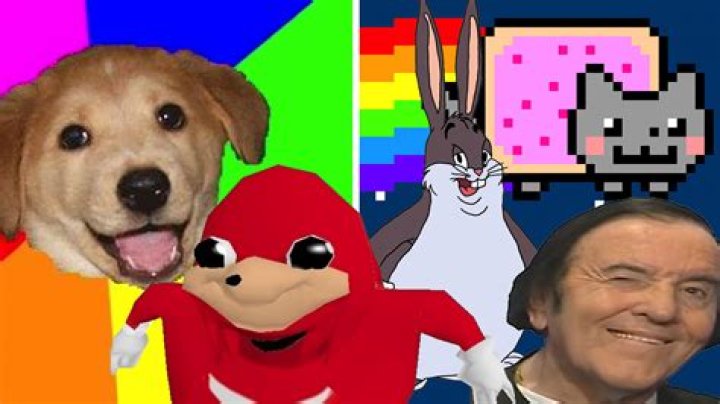 What is the Knee Surgery Meme? A Comprehensive Guide to Understanding Its Origins, Popularity, and Impact