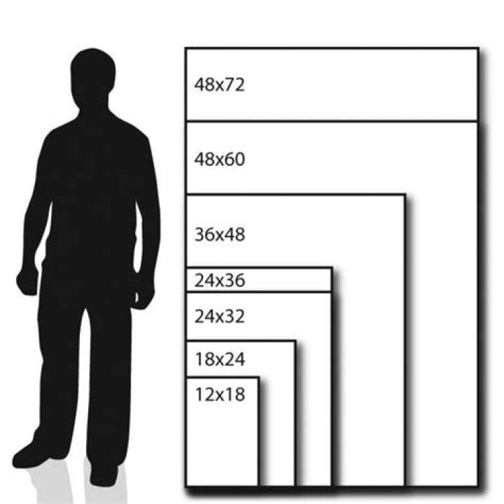 What is 48 Inches? A Comprehensive Guide to Understanding Measurements