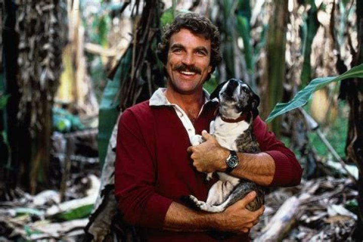 Who Plays Magnum PI: A Comprehensive Guide to the Stars of the Iconic TV Show