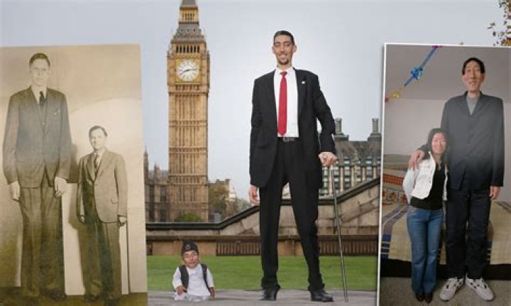 Who is the Tallest Man in the World? Discovering the Extraordinary Heights of Humanity