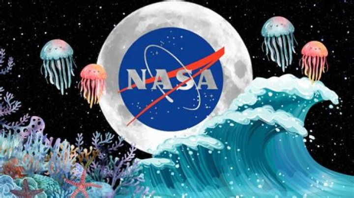Why Did NASA Stop Exploring the Ocean?