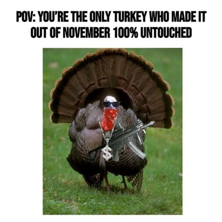 Why the Dry Turkey Meme Is Taking Over the Internet: A Deep Dive