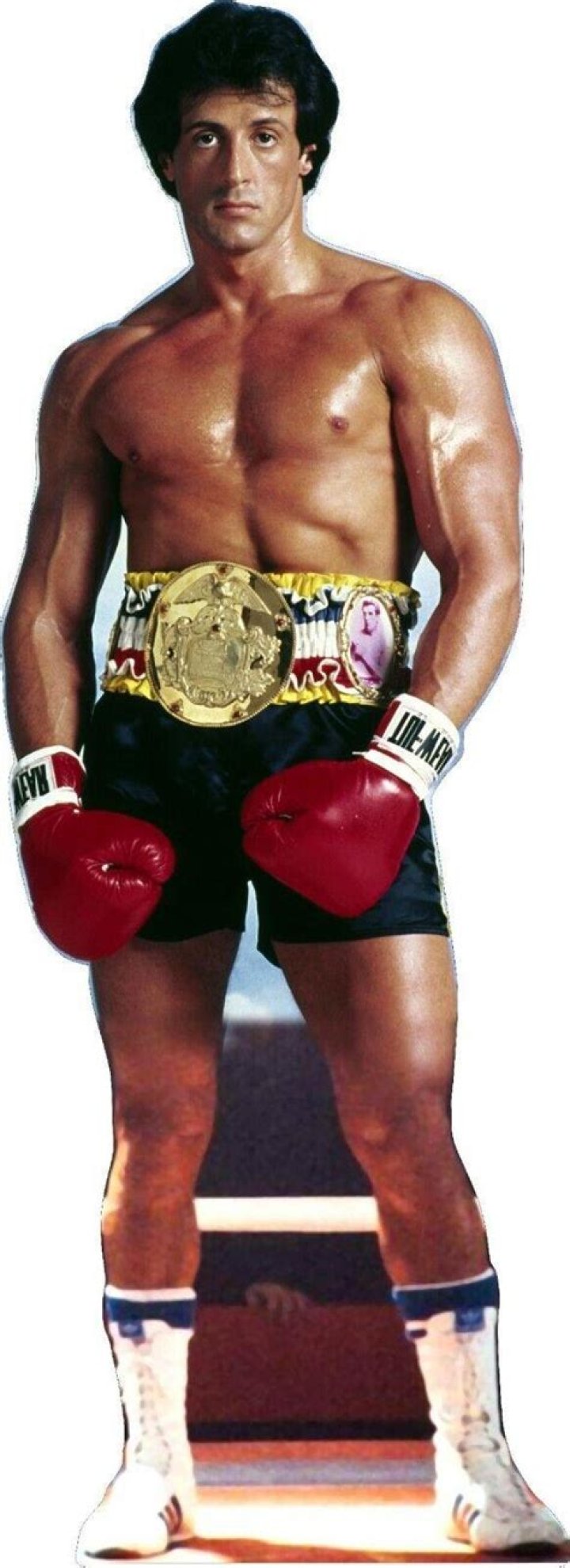 Rocky Balboa Wiki: The Ultimate Guide to the Legendary Boxer