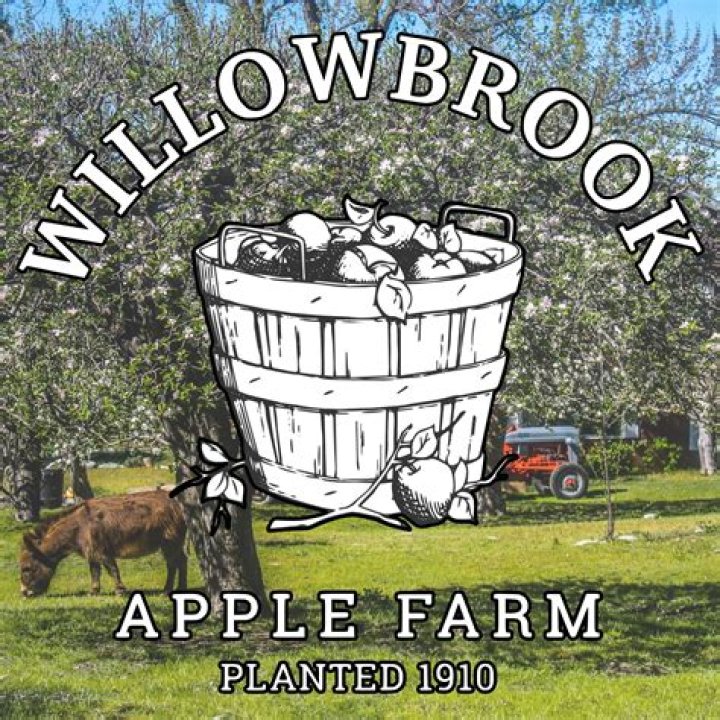 Willowbrook Apple Appointment: A Comprehensive Guide to Booking Success