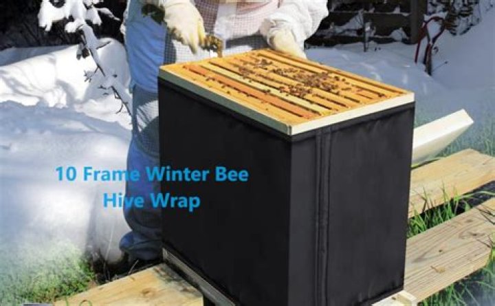 Winter Bee Hive Wraps: A Comprehensive Guide to Protecting Your Bees with Lappes Beeupply