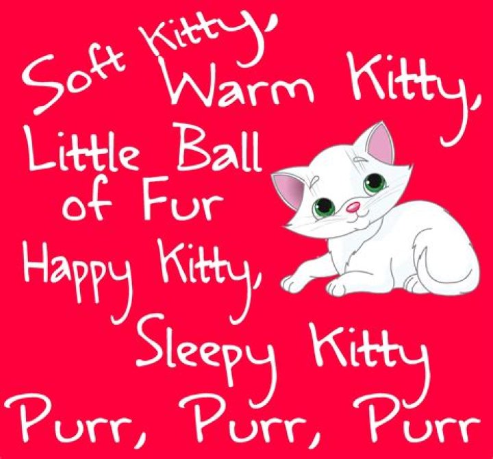 Words Tooft Kitty: A Comprehensive Guide to Understanding and Appreciating the Warmth of Kitty