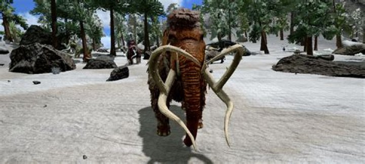 Exploring the Fascinating Journey of Yamilmv: A Rising Star in the Spotlight